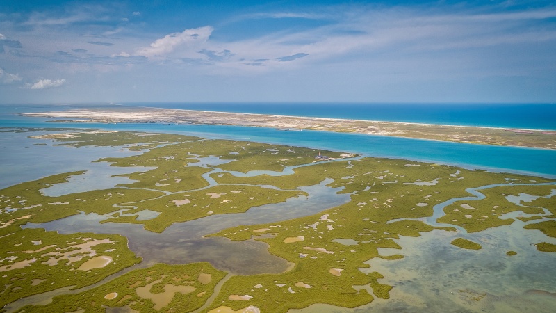 Scene of marshland in Port Aransas, Texas; Source: cropped from AdobeStock_217496001