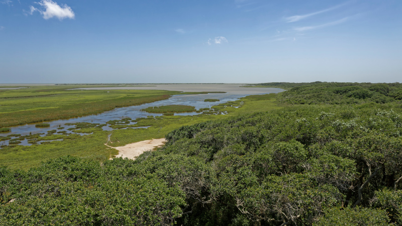 Scene of wetlands at the Aransas National Wildlife Refuge in Texas; Source: cropped from AdobeStock_404232815